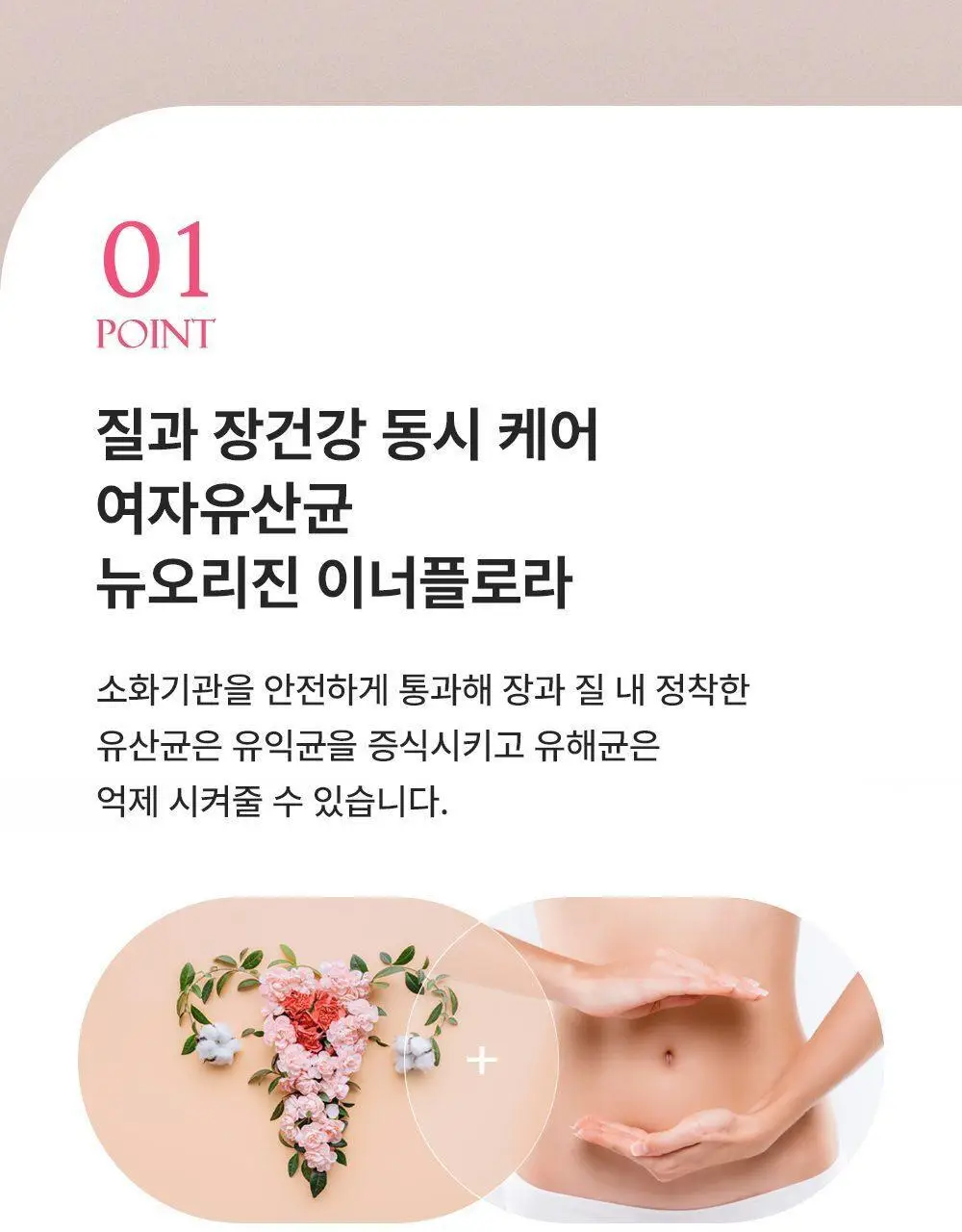 [질유산균] 뉴오리진 이너플로라 트리플 선물세트 30캡슐 *3박스 (90일분) 상세페이지 8